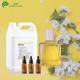 Floral Scent Sakura Perfume Fragrance Oils For Concentrated Perfume