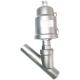 DN15-DN80 Stainless Steel 304 Pneumatic Steam Thread Y Type Angle Seat Valve for Disinfection Pharmacy
