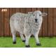 Dolly Sheep Polyresin Animal Figurines