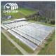 High Wind Resistance Single Span Greenhouse Customized Size