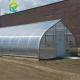 2.2-5.5m Height Venlo Hot Galvanized Tube Greenhouse With Cooling System