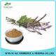Competitive Price Natural Chinese Herb European Verbena Extract /Blue Vervain