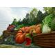 Cute Fruits And Vegetables Topiary Sculpture , Outdoor Garden Sculpture Colorful