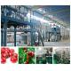 Automatic Beverage Processing Plant Machinery / Dates And Jujube Processing Line