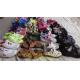 Used sports shoes，used shoes，old shoes，second hand shoes，used bag，used cloth。