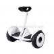 Classic Style 10inch Self Balancing Mini Scooter