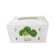 Foldable Coroplast Tomato Packaging Boxes Reusable Vegetable Packing Box