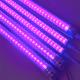 UV t8 led tube 0.6m 10W  Insect trapping UV Curing and disinfection CE RoHS