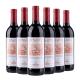 OEM ODM 210g Red Wine Alcohol Empty Glass Bottles 750ml