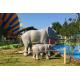 Water Resistant Animatronic Animals , Amusement Park​ Emulational Elephant