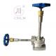 Manual Low Temperature Globe Valve SS304/SS316 For LN2/LO2/LCO2/LAr