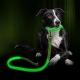 Customized Color LED Dog Leash , Glow In The Dark Dog Leash Light Up At Night