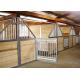 50mm Customized Horse Stable Equipment With Galvanized Steel Tube Stable