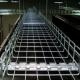 Versatile Grid Cable Tray Stainless Steel Wire Basket Tray Galvanized