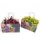 Wet Strength Kraft Fruit Paper Bags CMYK Pantone Color With Hole