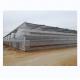 4.0-8.0M Height Agriculture Multi Span Plastic Film Greenhouse For Tomato Turnkey Project