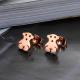 Tagor Stainless Steel Jewelry Factory High Quality Fashion Earring Studs Earrings TYGE002