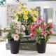 Small Artificial Green Plants , 28cm Height Plastic Bonsai Rose Plant