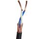 450/750V 2core Copper Wire Signal Control Cable with PVC Insulation and Shielding