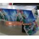 108cm *180cm Cartoon princess disposable tablecloth happy birthday party plastic tablecover supplies girls favor 1pcs/lo