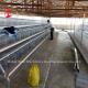 Chicken A And H Automatic Battery Cage System For Poultry Farming Breeding Sandy