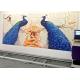 720*720DPL TECO Motor Wall Mural Printing Machine