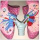 Plastic COPD Lung Human Body Organs Model Visceral Learning 19x13x17cm