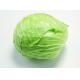 100% pure natural Cabbage Extract 10:1