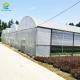 Agricultural Commercial Industrial Plastic Film Greenhouse With Complete Systems