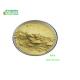 Herbal Extract Nature Rutin Powder Yellow Color CAS 153-18-4