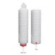 022/0.45/0.5 Micron 10 Inch PP Pleated Filter Cartridge Sterile Filtration Bacterial Interception Filter
