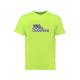 Custom Logo Oem/Odm Oversized 100% Polyester Breathable Shirt Printing Blank T-Shirt Green