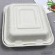Green And Energy 8*8 And 9*9 Inch1-Compartment, Compostable Clamshell, Natural Bagasse Take-Out/To-Go Food Boxes