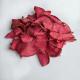Vacuum Fried Red Turnip Healthy Dried Vegetable Chip Natural Snack Dried Red Radish Chips