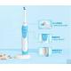 TB-1029 rechargable auto-timer toothbrush BLYL Brand Electric toothbrush, 2 minutes timer