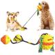 OEM Tug Of War Suction Dog Toy / Squeaky Dog Treat Ball Dispenser