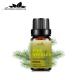 Natural White Pine Needle Essential Oil 10ml Skin Care Oil Pure MSDS OEM