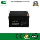 12V10ah AGM Lead Acid Battery Electric Sprayer Rechargeable Storage Battery