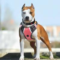 Highly Reflective Nylon Dog Harness Sturdy Handle Easy To Put On And Off