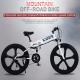 Magnesium Alloy Lithium Battery Foldable Electric Bicycle 60km