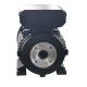 Fully Enclosed Hollow Shaft Induction Motor 5.5KW 7.5HP For Pressure Washer