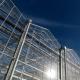 4.0m-6.0m Gutter Height Commercial Glass Greenhouse for Vegetable Flower