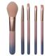 5PCS Pink Mini Travel Makeup Brush Set Synthetic Bristle Portable Wooden Handle
