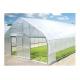 Multi Span Agricultural Greenhouse , Industrial Greenhouse Modern Plant Construction