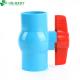 Straight Through Type Blue Body Red Handle PVC Irrigation Ball Valve for Swimming Pool