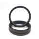 PTFE NBR Hydraulic Piston Seal SPGW Brown Color 3 Months Warranty