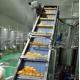 Fully Automatic System Citrus/Orange Juice Processing Line