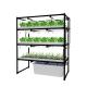 Custom Hydroponic Grow Rack Indoor Vertical Farms For Leafy Green