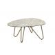 Modern Design Coffee Tables 980*770*450mm With Assembly Required