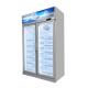 Commercial Silvery Glass Door Upright Deep Freezer Refrigeration Equipment Display